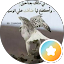 سوليترز ٠٠٠٠٠٠٠