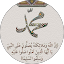 محمد الضباعي