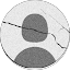 A AlOTIBI