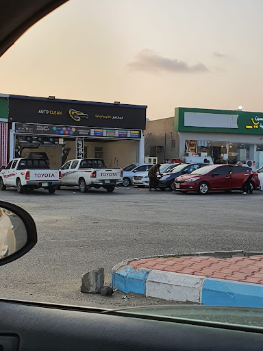المغاسل الاوتوماتكية